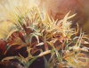 Sunlit Grasses